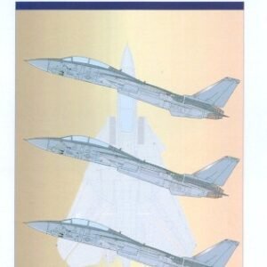 Grumman F 14 Tomcat Low Visibility