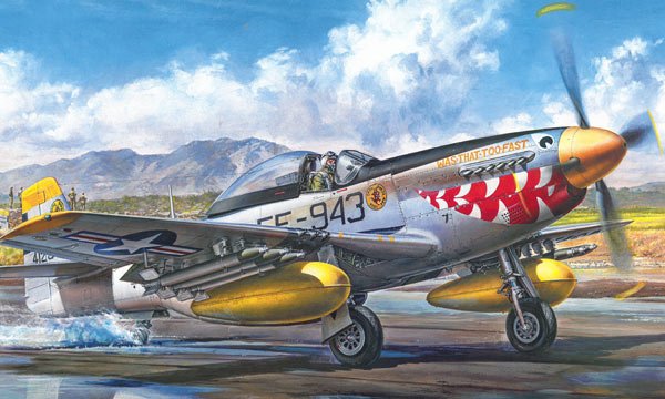 TAMIYA 60328 F-51D Mustang Guerre de Corée 1/32 – Image 2